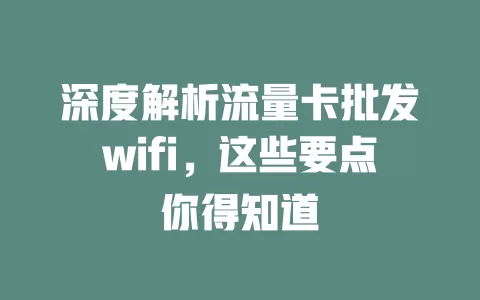 深度解析流量卡批发wifi，这些要点你得知道