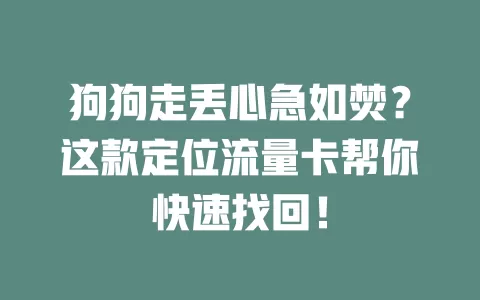 狗狗走丢心急如焚？这款定位流量卡帮你快速找回！
