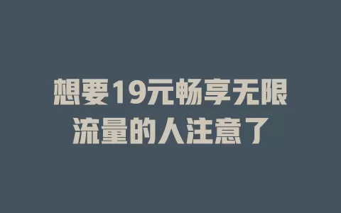 想要19元畅享无限流量的人注意了