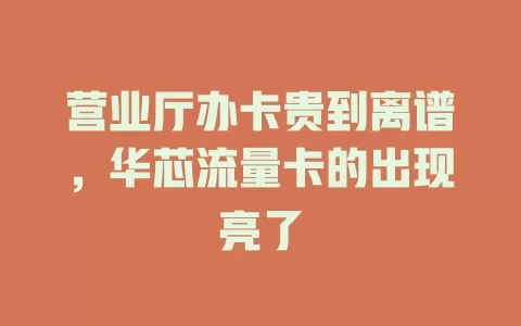 营业厅办卡贵到离谱，华芯流量卡的出现亮了