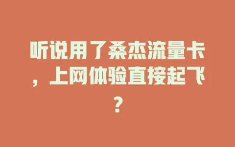 听说用了桑杰流量卡，上网体验直接起飞？