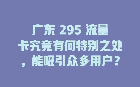广东 295 流量卡究竟有何特别之处，能吸引众多用户？