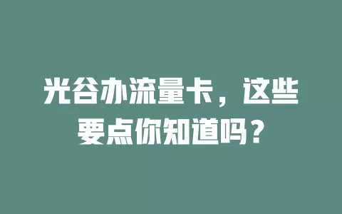光谷办流量卡，这些要点你知道吗？