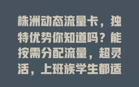 株洲动态流量卡，独特优势你知道吗？能按需分配流量，超灵活，上班族学生都适用，还助力株洲数字化生活！