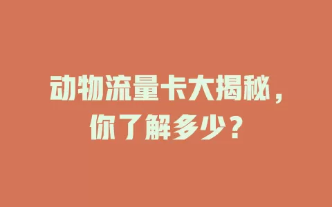 动物流量卡大揭秘，你了解多少？