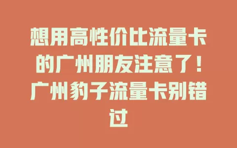 想用高性价比流量卡的广州朋友注意了！广州豹子流量卡别错过