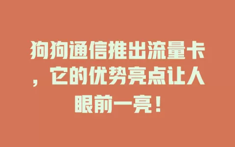 狗狗通信推出流量卡，它的优势亮点让人眼前一亮！
