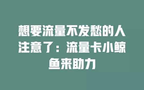 想要流量不发愁的人注意了：流量卡小鲸鱼来助力