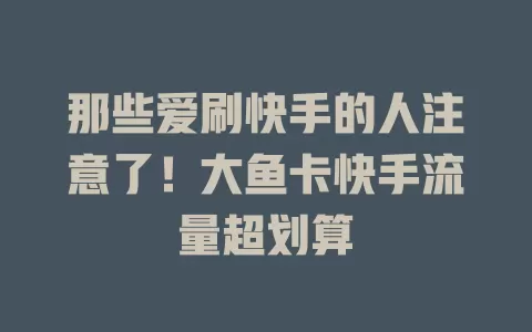 那些爱刷快手的人注意了！大鱼卡快手流量超划算