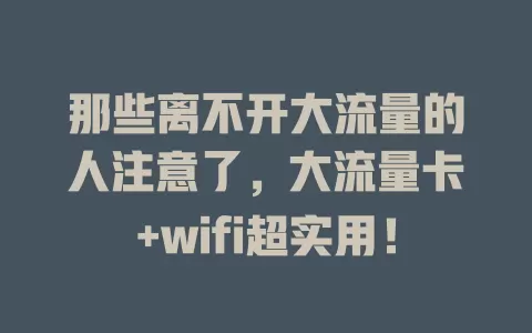 那些离不开大流量的人注意了，大流量卡+wifi超实用！