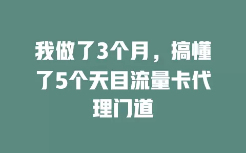我做了3个月，搞懂了5个天目流量卡代理门道