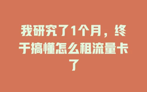 我研究了1个月，终于搞懂怎么租流量卡了