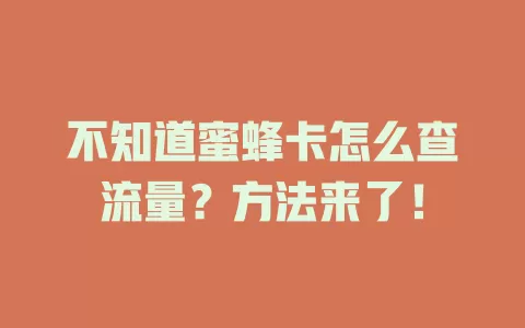 不知道蜜蜂卡怎么查流量？方法来了！