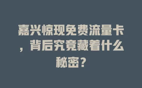 嘉兴惊现免费流量卡，背后究竟藏着什么秘密？