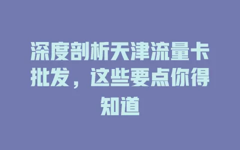 深度剖析天津流量卡批发，这些要点你得知道