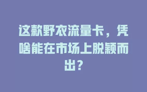 这款野衣流量卡，凭啥能在市场上脱颖而出？