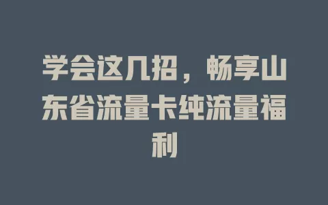 学会这几招，畅享山东省流量卡纯流量福利