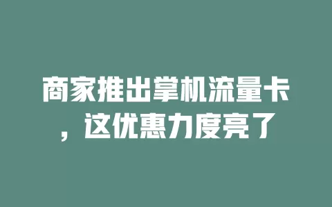 商家推出掌机流量卡，这优惠力度亮了