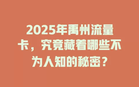 2025年禹州流量卡，究竟藏着哪些不为人知的秘密？