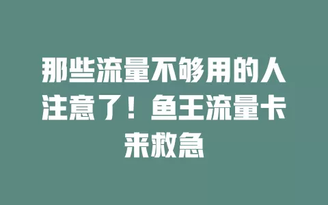 那些流量不够用的人注意了！鱼王流量卡来救急