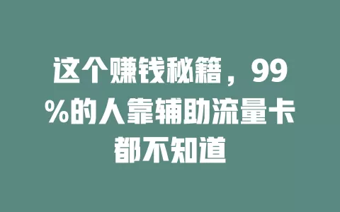 这个赚钱秘籍，99%的人靠辅助流量卡都不知道