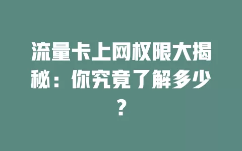 流量卡上网权限大揭秘：你究竟了解多少？