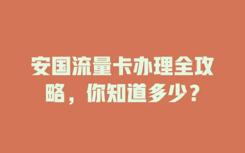 安国流量卡办理全攻略，你知道多少？