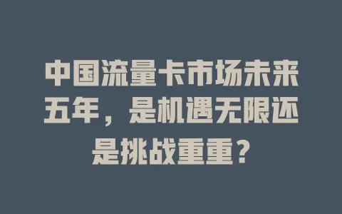 中国流量卡市场未来五年，是机遇无限还是挑战重重？