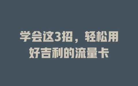 学会这3招，轻松用好吉利的流量卡