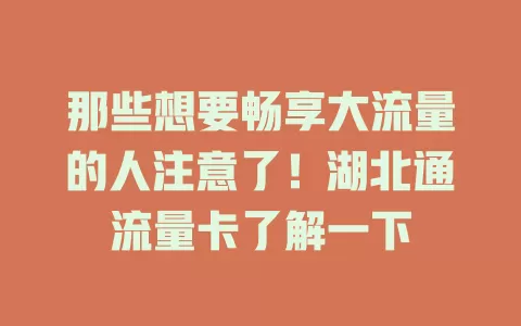 那些想要畅享大流量的人注意了！湖北通流量卡了解一下