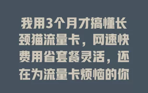 我用3个月才搞懂长颈猫流量卡，网速快费用省套餐灵活，还在为流量卡烦恼的你快来试试！