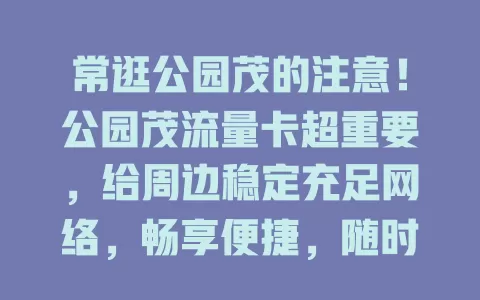 常逛公园茂的注意！公园茂流量卡超重要，给周边稳定充足网络，畅享便捷，随时联系外界