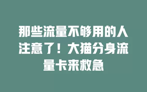 那些流量不够用的人注意了！大猫分身流量卡来救急