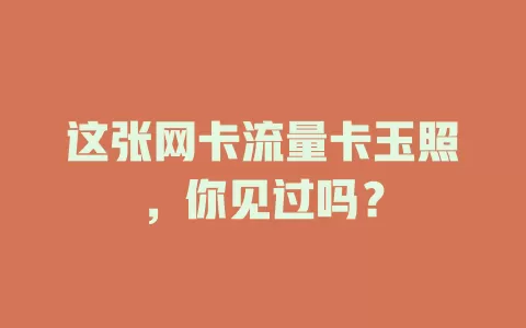 这张网卡流量卡玉照，你见过吗？