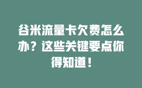谷米流量卡欠费怎么办？这些关键要点你得知道！