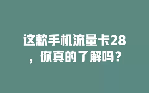 这款手机流量卡28，你真的了解吗？