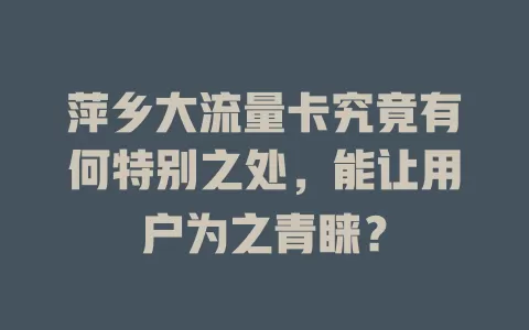 萍乡大流量卡究竟有何特别之处，能让用户为之青睐？