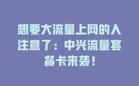 想要大流量上网的人注意了：中兴流量套餐卡来袭！