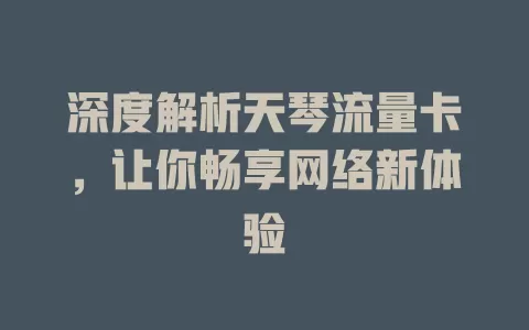 深度解析天琴流量卡，让你畅享网络新体验