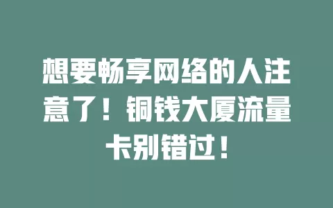 想要畅享网络的人注意了！铜钱大厦流量卡别错过！