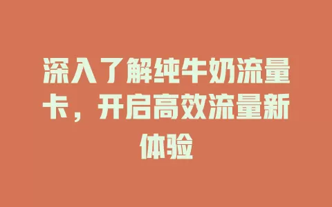 深入了解纯牛奶流量卡，开启高效流量新体验