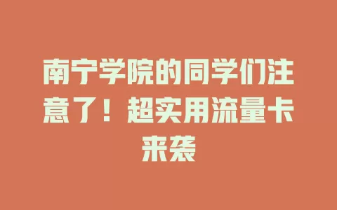 南宁学院的同学们注意了！超实用流量卡来袭