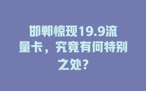 邯郸惊现19.9流量卡，究竟有何特别之处？