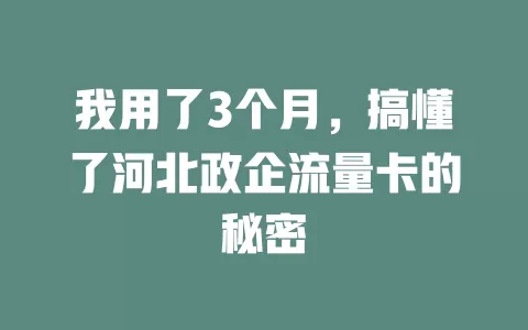 我用了3个月，搞懂了河北政企流量卡的秘密