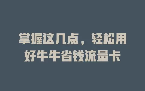 掌握这几点，轻松用好牛牛省钱流量卡
