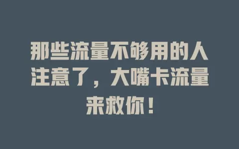 那些流量不够用的人注意了，大嘴卡流量来救你！