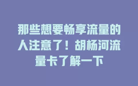 那些想要畅享流量的人注意了！胡杨河流量卡了解一下