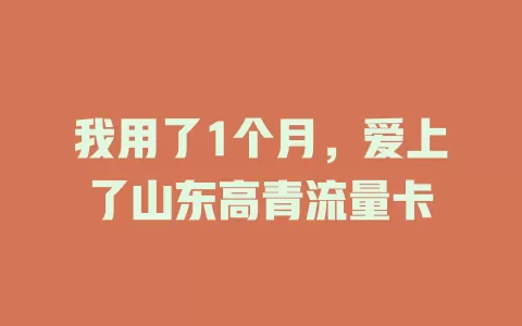 我用了1个月，爱上了山东高青流量卡