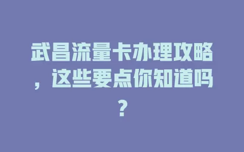 武昌流量卡办理攻略，这些要点你知道吗？