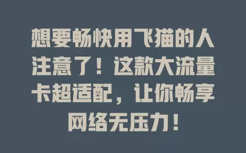 想要畅快用飞猫的人注意了！这款大流量卡超适配，让你畅享网络无压力！